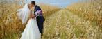 Готовимся к свадьбе без спешки. Фотосессия Предсвадебное Love Story, слайдшоу и печать фото со скидкой 80% от фотостудии Пятый элемент
