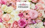 Цветы со скидкой до 50% от оптового склада живых цветов cvetclub.ru! От 18,99 р. за розу, 33,99 р. за кустовую розу, 45,99 р. за кустовую хризантему