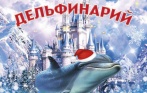 Всего 500 р. за билет на шоу дельфинов «Снежный город» 6-21 января в «Санкт-Петербургском Дельфинарии»