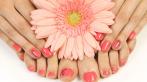Маникюр, педикюр, массаж рук или стоп, покрытие лаком и Shellac в студии красоты Platinum!