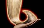 Стрижка и трехфазный SPA-уход у призеров  чемпионатов по парикмахерскому искусству со скидкой 50% в студии красоты “FRESH LOOK” (Невский, 128)