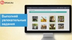 Скидка на доступ к онлайн курсу разговорного английского языка In Speak на 1 год.