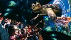 7D кино - реально в нереальном! Киносеанс в формате 7D для одного или двоих со скидкой до 53%.