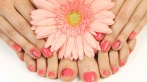 Маникюр, педикюр, массаж рук или стоп, покрытие лаком и Shellac в салоне красоты Platinum со скидкой