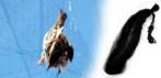 На нейлоновую сеть «Anti Bird» для защиты от птиц