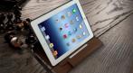 Чехол для iPad 2/4/3, 785 руб. вместо 2000 руб. СКИДКА 61%. Купон -  0 руб !!!