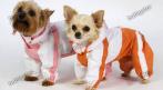 Прикольная одежда для домашних животных. СКИДКИ до 70%