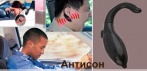 На сигнализацию 