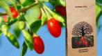 Ягоды годжи Natural Gifts, сорт класса Премиум от 700 руб. СКИДКА 30%. Купон - 0 руб !!!
