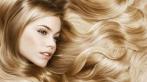 Стрижка и СПА для волос со скидкой 52% в студии красоты 