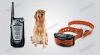 Электронные ошейники для собак от интернет-магазина «Антигав». СКИДКА 10%. Купон - 0 руб !!!