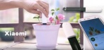На монитор флоры от бренда Xiaomi Mi