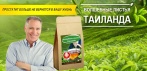 На «Волшебные листья Таиланда». Самое лучшее средство в борьбе с простатитом!