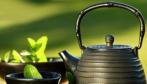 Восточный вечер в кафе «Tea Room» со скидкой 80%! Заплатите 260 рублей вместо 1300 рублей!