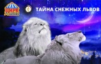 От 420 р. за билеты на новогоднюю программу «Тайна снежных львов» с 23 декабря по 14 января в цирке «Автово»