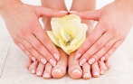 Скидка до 68% на классический маникюр или педикюр с покрытием Shellac в салоне красоты «Эффект бабочки»