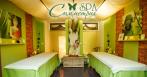 SPA в 5 мин. от Петроградской! Романтические SPA-программы, 990 р. за УЗ-чистку. Скидки до 80%. Подарочные сертификаты!
