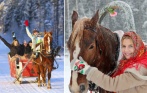 От 500 р. за катание на санях, прогулки на лошадях и пони, конную экскурсию на ферму северных оленей. Скидка до 50% от клуба «Селена»