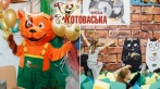 Скидки до 50% на развлечения в детском парке «Котоваська». Аэрохоккей, лабиринты, горки, скалодром, бассейн и другое! От 270 р. за билет, от 15900 р. за программу к празднику