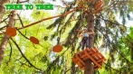 От 300 р. за билет в веревочный парк TreeToTree в п. Репино. 54 задания на высоте до 20 метров!