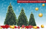 Пушистые искусственные сосны от 60 см. до 3 метров со скидкой до 66% от OZIMART! Светодиодная гирлянда в ПОДАРОК